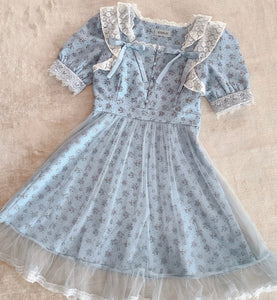 BUBBLES Blue Gingham Check Tulle Dress