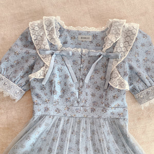 BUBBLES Blue Gingham Check Tulle Dress